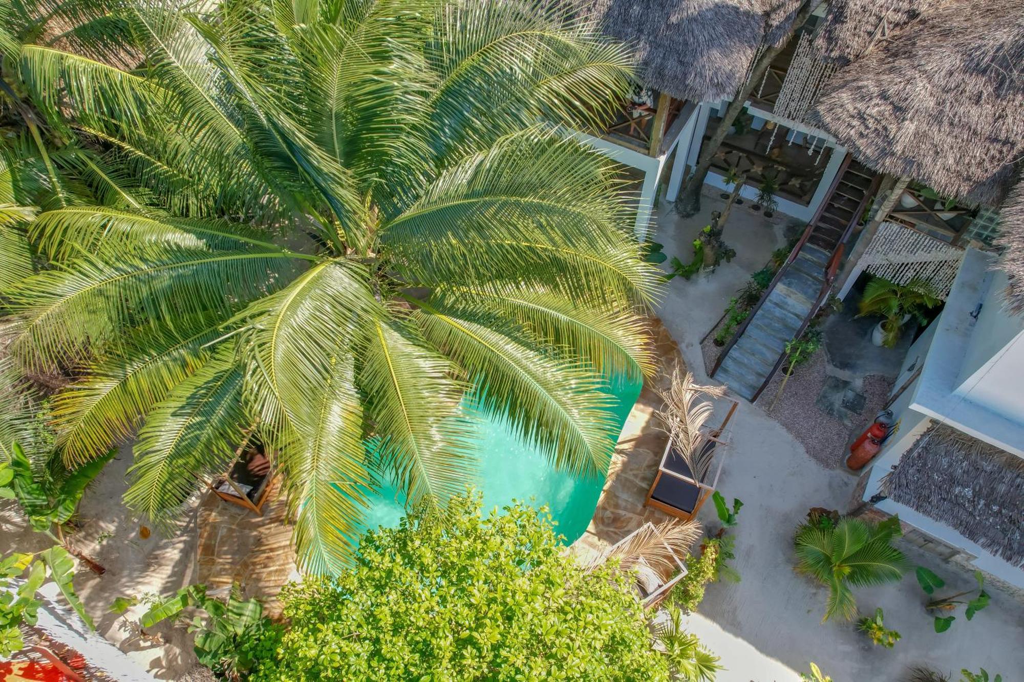 לינה וארוחת בוקר גאמביאני Ocean Boho House מראה חיצוני תמונה